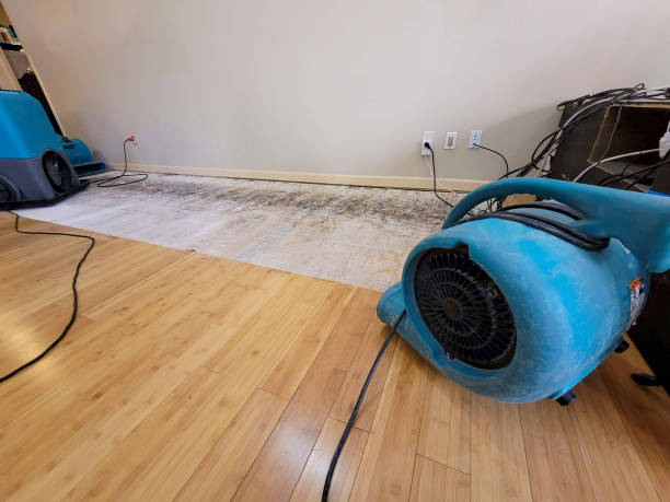 Reliable Basement Flood Cleanup contractor in Chino, CA by Hirex Water Damage