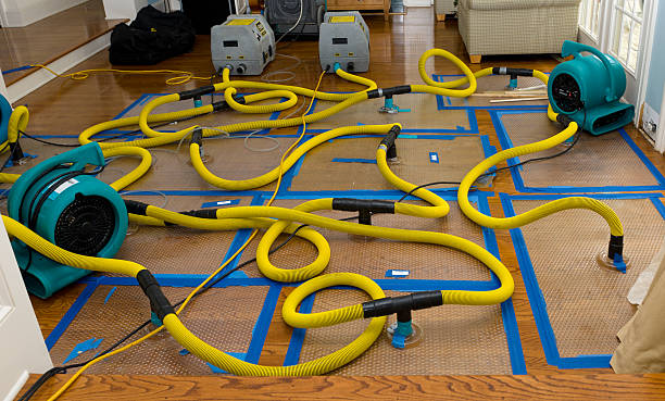 Professional Basement Flood Cleanup technician working in Chino, CA